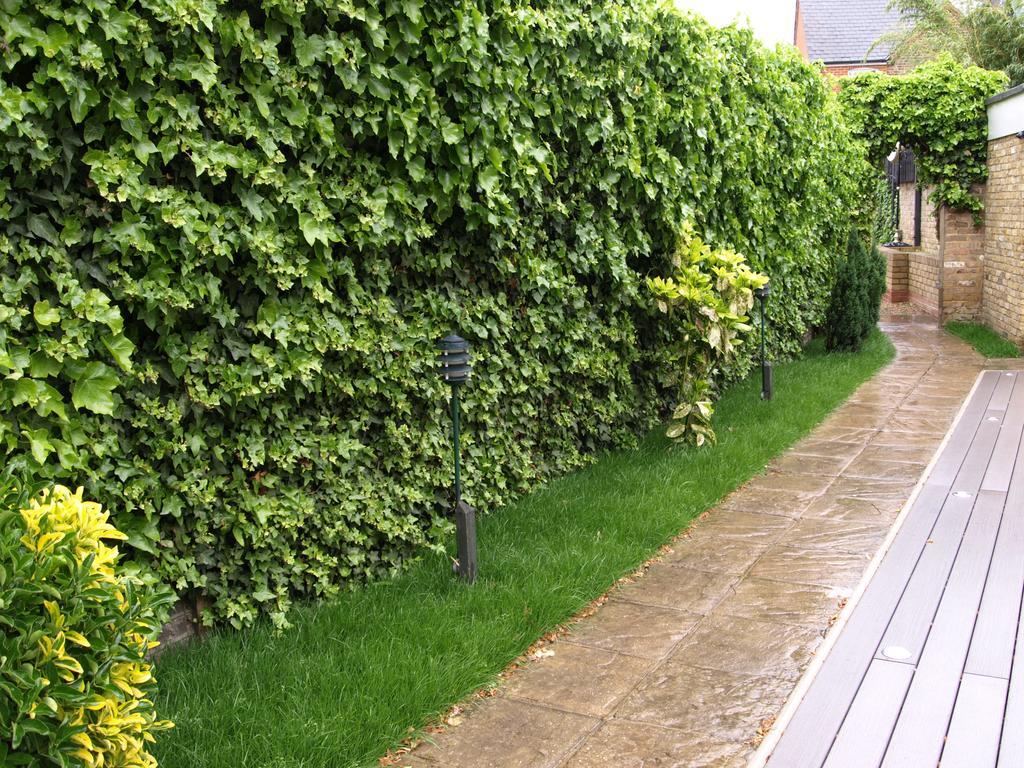 Best Western Chiswick Palace & Suites Londres Exterior foto